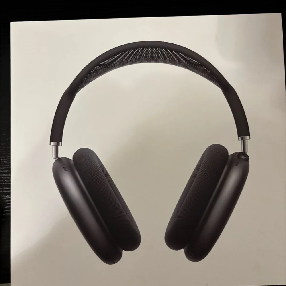 Apple Black Headset